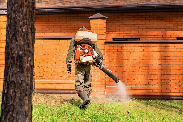 Bed Bug Clearance Verification and Documentation in Midfield
